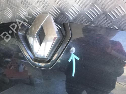 Used Hood RENAULT MEGANE III Hatchback (BZ0/1_, B3_) 1.5 dCi (BZ09, BZ0D, BZ1W, BZ29, BZ14) (110 hp) 24242046
