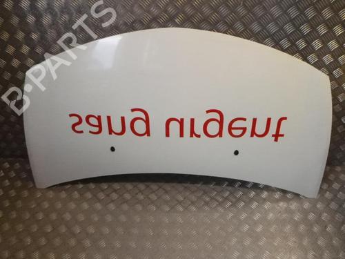 Used Hood RENAULT CLIO III (BR0/1, CR0/1) 1.5 dCi (C/BR0G, C/BR1G) (68 hp) 24242374