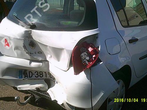 Hood RENAULT CLIO III (BR0/1, CR0/1) 1.5 dCi (C/BR0G, C/BR1G) | BP24241630C1 