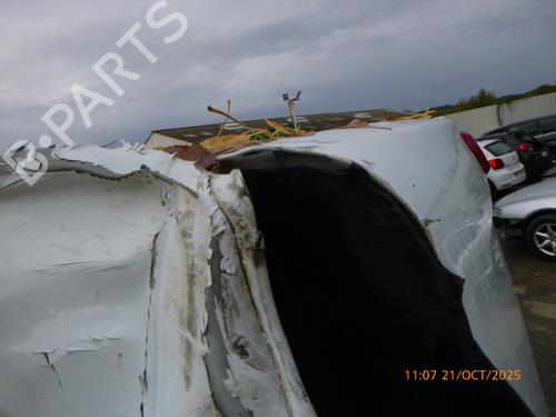 Left tailgate RENAULT TRAFIC III Van (FG_) 1.6 dCi 125 (FGMH) | BP29847475C76