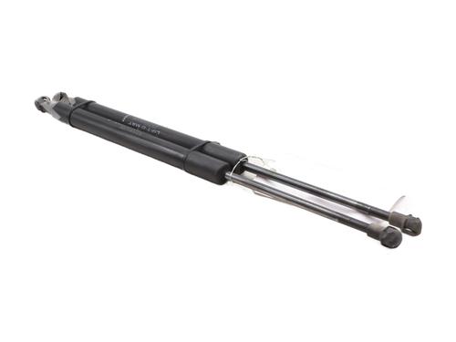 Tailgate lift support DACIA DUSTER (HS_) 1.2 TCe 125 | BP29737493C138