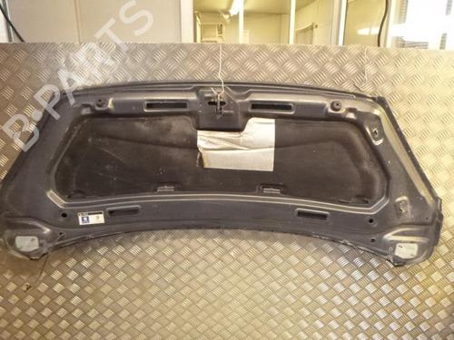 Used Hood PEUGEOT 1007 (KM_) 1.6 HDi (109 hp) 24241695