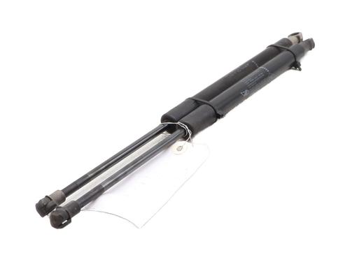 Tailgate lift support DACIA DUSTER (HS_) 1.2 TCe 125 | BP29737493C138
