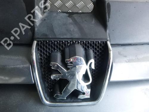 Used Front bumper PEUGEOT 307 CC (3B) 2.0 16V (136 hp) 24242934