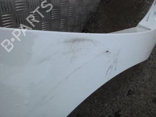 left-front-fenders-renault-kangoo-express-fw01_-2008-24242253 main image