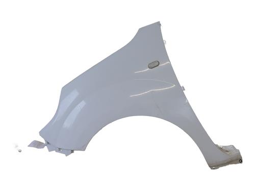 Used Left front fenders RENAULT KANGOO Express (FW0/1_) 1.5 dCi 95 (FW16) (95 hp) 30177393