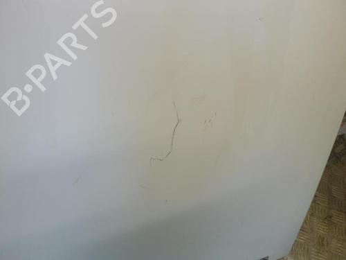 Used Hood RENAULT RAPID Box Body/MPV (F40_, G40_) 1.2 (F406, G40A) (55 hp) 24243053