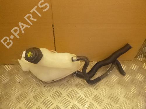 Used Expansion tank RENAULT KADJAR (HA_, HL_) 1.5 BLUE dCi 115 (HLA6) (116 hp) 24242239