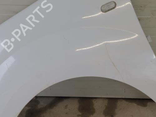 Left front fenders RENAULT KANGOO Express (FW0/1_) 1.5 dCi 95 (FW16) | BP30177393C41