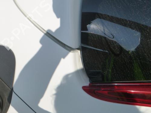 Tailgate NISSAN JUKE (F15) 1.5 dCi | BP29628956C6 