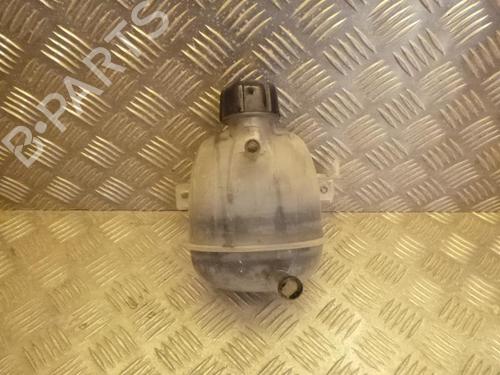 Used Expansion tank RENAULT KANGOO (KC0/1_) D 65 1.9 (KC0E, KC02, KC0J, KC0N) (64 hp) 24242395