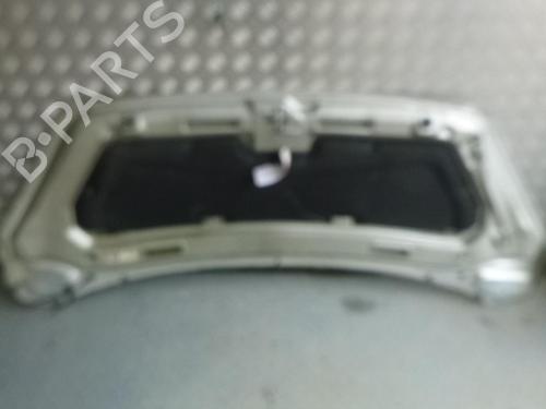 Hood PEUGEOT 1007 (KM_) 1.4 HDi | BP24240614C1 