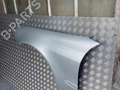 Used Left front fenders Left front fenders 24241919 24241919