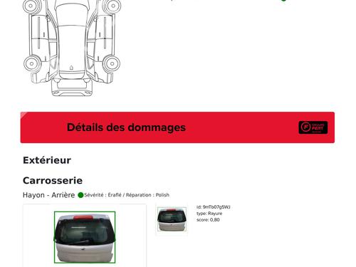 Tailgate PEUGEOT 207 SW (WK_) 1.6 16V | BP32347311C6 