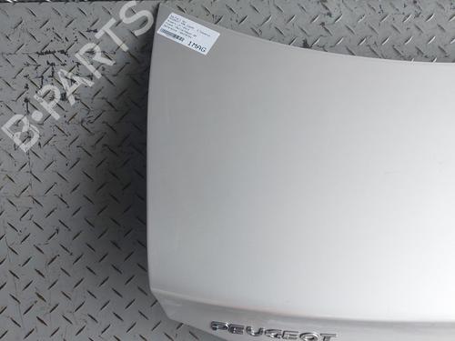 Tailgate PEUGEOT 406 Coupe (8C) 2.0 16V | BP25123953C6 
