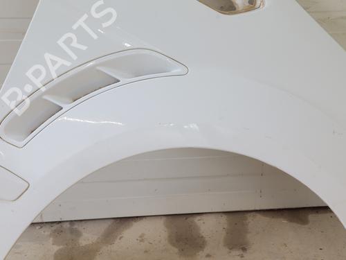 Right front fenders FORD S-MAX (WA6) 2.0 TDCi | BP30183230C42 