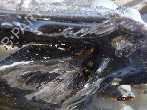 Used Engine Engine RENAULT CLIO IV (BH_) 1.6 RS Trophy (BHJ4, BHJ6) (220 hp) 27981550 27981550