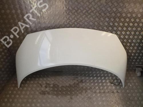 Used Hood RENAULT SCÉNIC II (JM0/1_) 1.5 dCi (JM02, JM13) (101 hp) 24242404