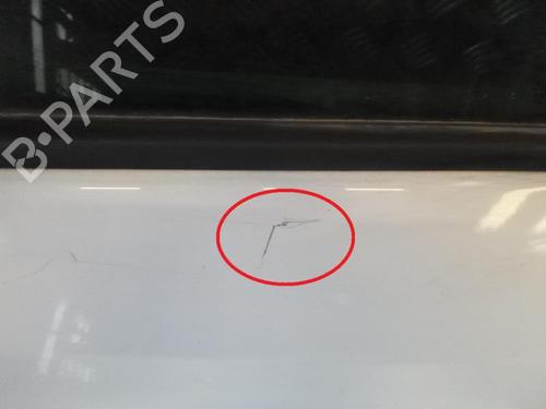Used Left rear door RENAULT MEGANE III Hatchback (BZ0/1_, B3_) 1.9 dCi (BZ0N, BZ0J) (131 hp) 24243157