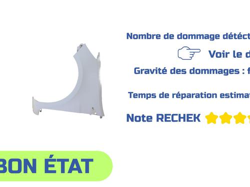 Left front fenders RENAULT CLIO III (BR0/1, CR0/1) 1.5 dCi (C/BR0G, C/BR1G) | BP31625451C41