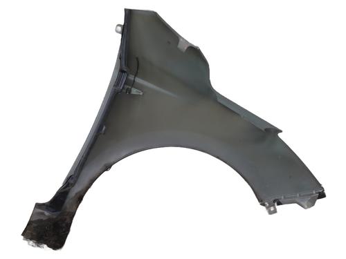 Left front fenders HYUNDAI i20 I (PB, PBT) 1.1 CRDi | BP29890664C41 