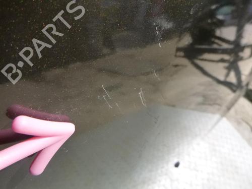 Hood RENAULT CLIO III (BR0/1, CR0/1) 1.5 dCi (BR17, CR17) | BP24242703C1