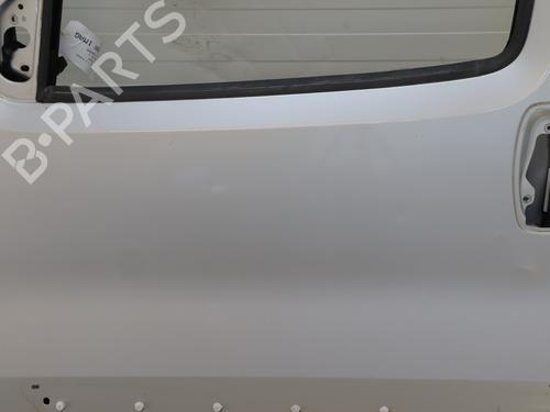 Left front door CITROËN NEMO Box Body/MPV (AA_) 1.3 HDi 75 | BP29847430C2