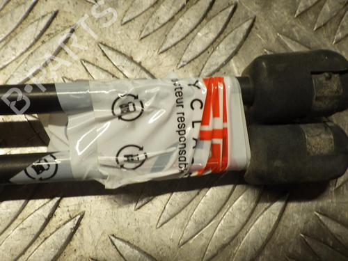 Tailgate lift support FORD FIESTA V (JH_, JD_) 1.4 16V | BP24248275C138 