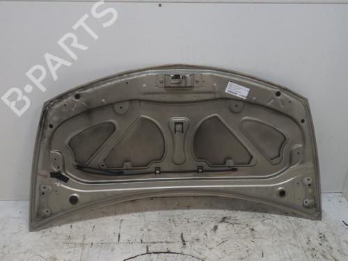 Hood RENAULT CLIO III (BR0/1, CR0/1) 1.4 16V | BP29454703C1 