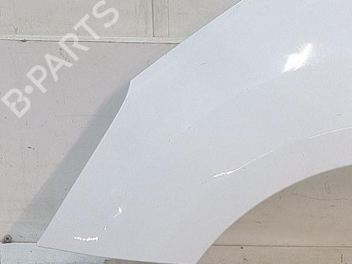 left-front-fenders-citroen-c3-ii-sc_-2009-38328429 main image