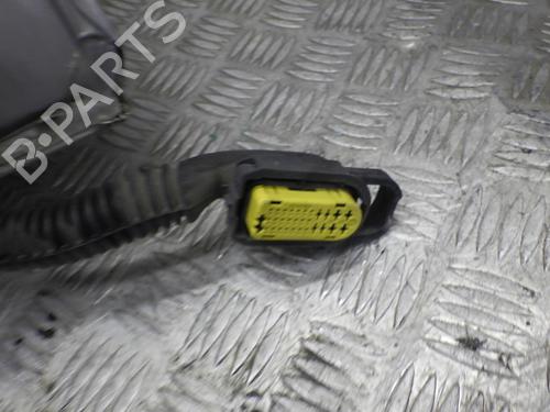 Left rear door RENAULT CLIO III (BR0/1, CR0/1) 1.5 dCi (BR17, CR17) | BP24251168C4 