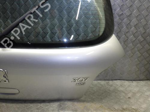 Used Tailgate Tailgate PEUGEOT 307 (3A/C) 1.6 HDi (90 hp) 24244915 24244915