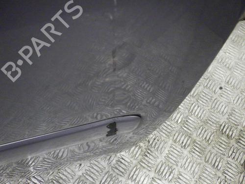 Right front door OPEL MERIVA A MPV (X03) 1.7 CDTI (E75) | BP24245604C3 