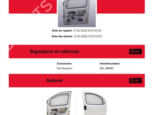 Right front door FIAT FIORINO Box Body/MPV (225_) 1.3 D Multijet | BP24244321C3 