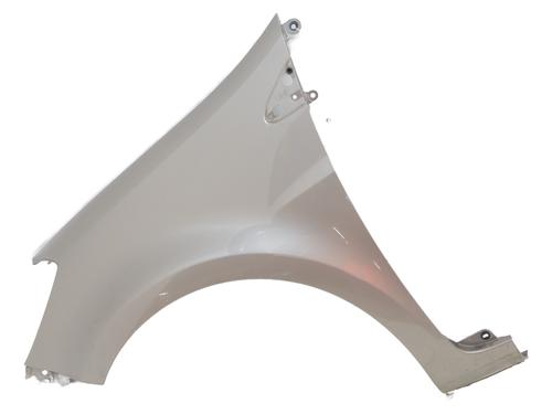Used Left front fenders RENAULT CLIO III (BR0/1, CR0/1) 1.5 dCi (C/BR0G, C/BR1G) (68 hp) 29220861