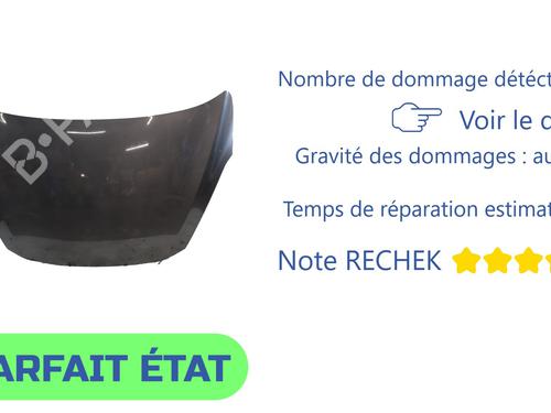Used Hood Hood FORD FIESTA VII (HJ, HF) 1.0 EcoBoost (95 hp) 39904899 39904899