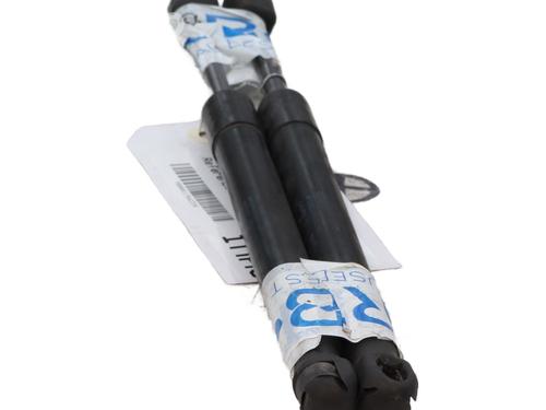 Tailgate lift support AUDI A6 C6 (4F2) 3.0 TDI quattro | BP31582501C138 