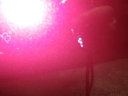 Right front door CITROËN C3 Pluriel (HB_) 1.4 | BP25039738C3