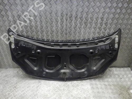 Hood RENAULT TWINGO II (CN0_) 1.5 dCi (CN0U) | BP24246979C1 