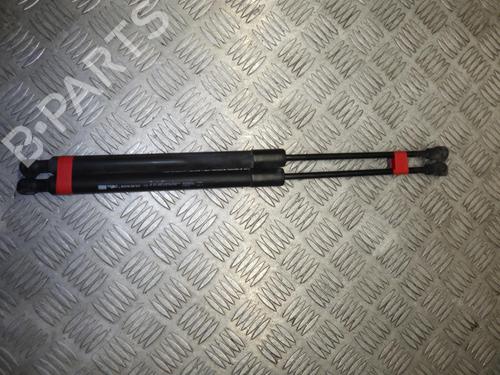 Tailgate lift support RENAULT CLIO IV (BH_) 1.5 dCi 90 | BP24244928C138 