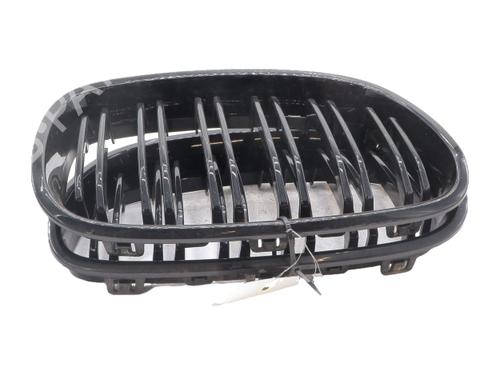 grille-bmw-1-f20-2011-2012-2013-2014-2015-2016-2017-2018-2019-40538022 main image