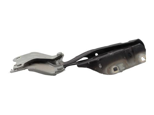 Hinge/Door check strap RENAULT TWINGO II (CN0_) 1.2 16V (CN04, CN0B) | BP29401945C146 