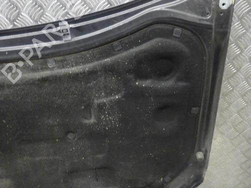 Hood VW POLO IV (9N_, 9A_) 1.4 TDI | BP24246575C1 