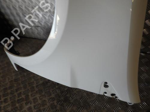 Left front fenders RENAULT CLIO III (BR0/1, CR0/1) 1.5 dCi | BP24246752C41 