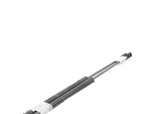 Hood lift support BMW 3 Touring (F31) 318 d | BP29209353C139 