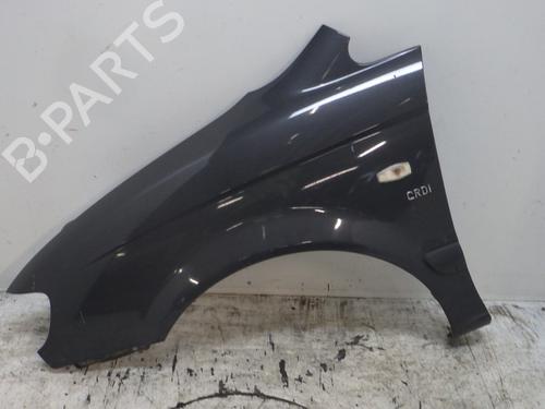 left-front-fenders-hyundai-trajet-fo-1999-2000-2001-2002-2003-2004-2005-2006-2007-2008-30320941 main image