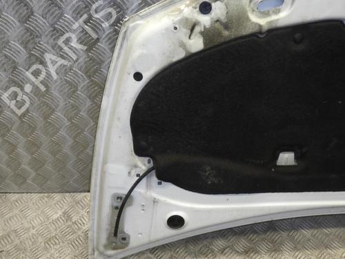 Hood RENAULT CLIO III (BR0/1, CR0/1) 1.5 dCi | BP24248680C1 