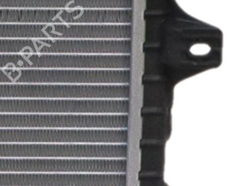 Used Water radiator Water radiator JAGUAR F-TYPE Convertible (X152) 5.0 SCV8 P450 (450 hp) 40499932 40499932