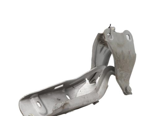 Hinge/Door check strap RENAULT TWINGO II (CN0_) 1.2 16V (CN04, CN0B) | BP29401932C146 