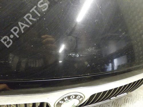 Hood SKODA FABIA I (6Y2) 1.9 TDI RS | BP24248867C1 